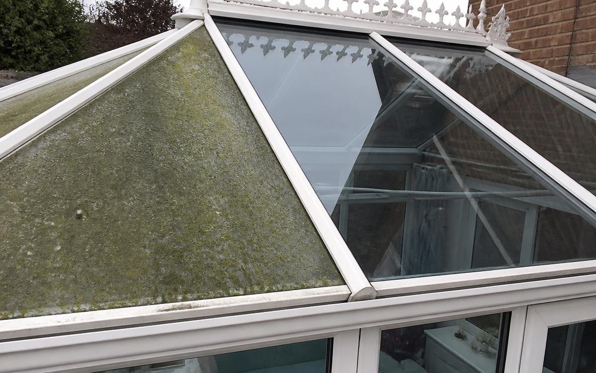 Conservatory roof glazing before and after algae removal