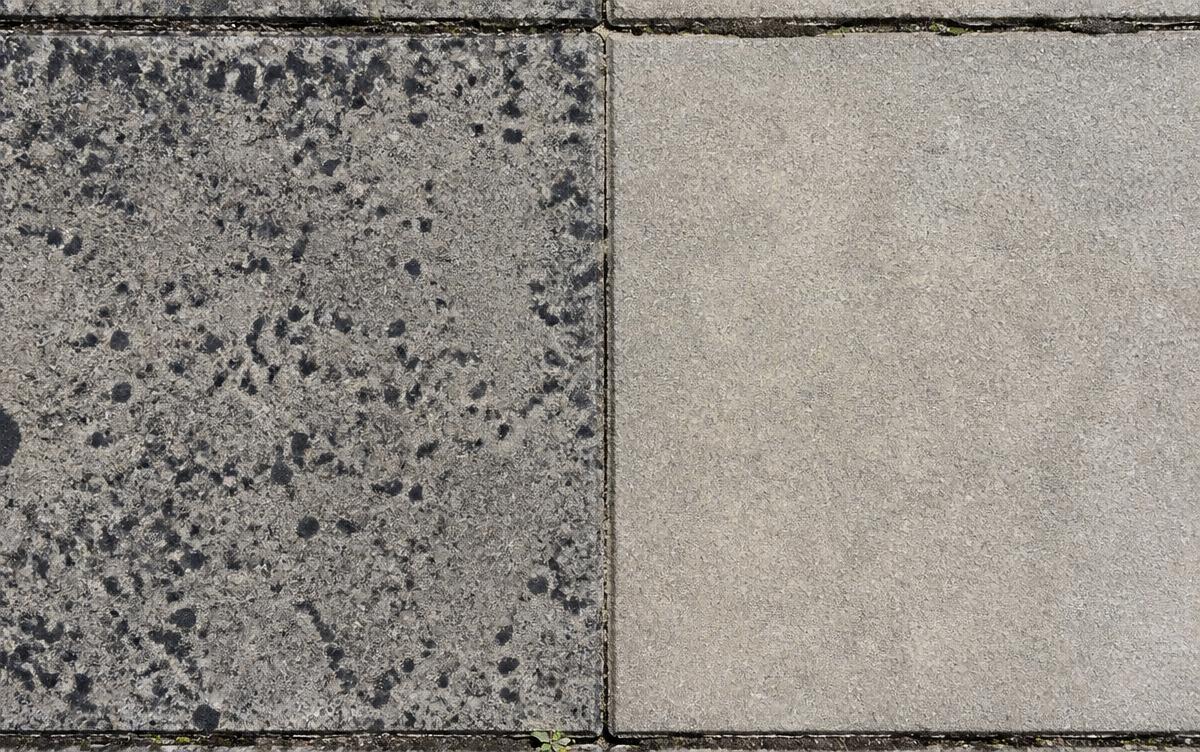 Black lichen spots on patio paving slabs