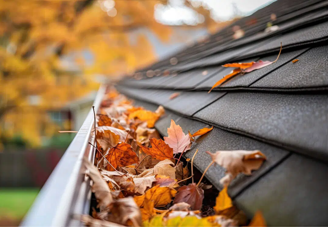 Gutter Cleaning in Barnet by DP Window & Gutter Cleaning
