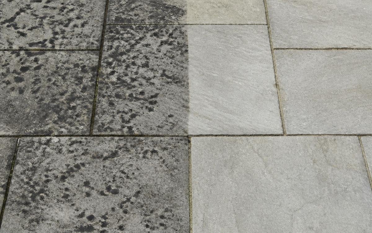 Black lichen spots on patio paving slabs